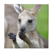 Niedlich Joey Kangaroo Fliese (Vorderseite)