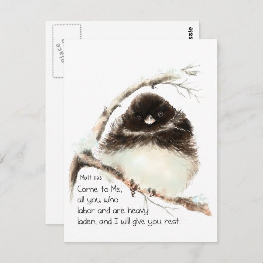 Niedlich Junco Bird, Scripture, Matt 11:28, Erholu Postkarte (Vorne/Hinten)