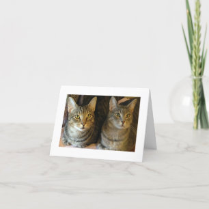 Niedlich Katzen Foto Tabby Kätzchen Dankeskarte