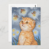 Niedlich Katzenkätzchen mit Feuerwerk Postkarte (Vorne/Hinten)