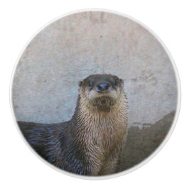 Niedlich Keramikknauf