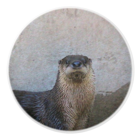 Niedlich Keramikknauf (Vorderseite)