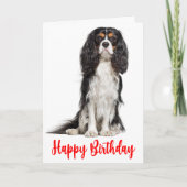 Niedlich King Charles Cavalier Dog Birthday Karte (Vorderseite)