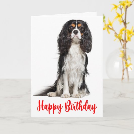 Niedlich King Charles Cavalier Dog Birthday Karte (Gelbe Blume)