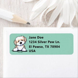 Niedlich KiniArt Havanese