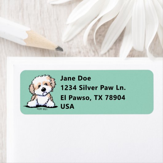 Niedlich KiniArt Havanese (Insitu)