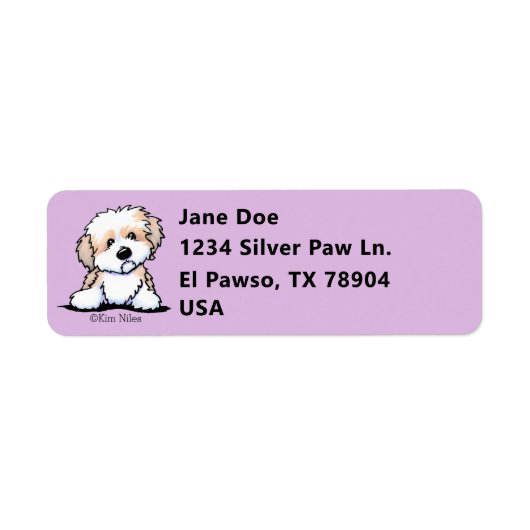 Niedlich KiniArt Havanese (Vorne)