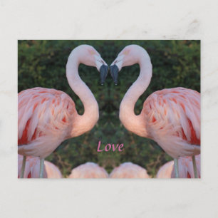 Niedlich Kissing Flamingo Fotografie Postkarte