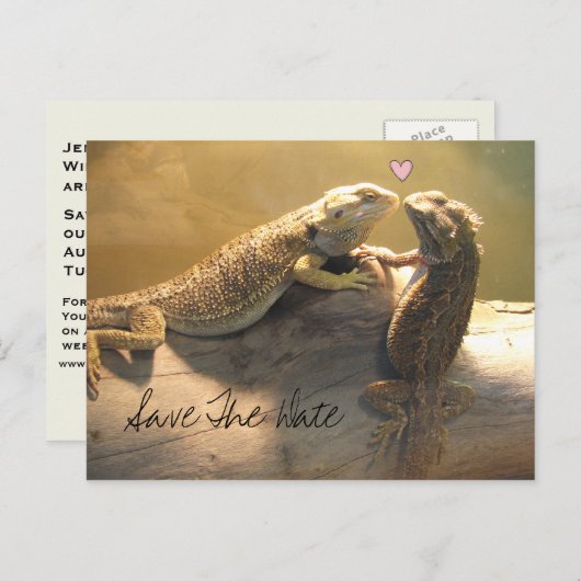Niedlich Kissing Lizards Wedding Save the Date Ankündigungspostkarte (Vorne/Hinten)
