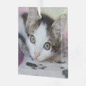 Niedlich Kitten 1 Foto Square Ornament Aus Glas (Vorderseite links)