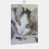 Niedlich Kitten 1 Foto Square Ornament Aus Glas (Vorderseite Rechts)
