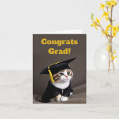 Niedlich Kitten Abschluss Karte (Gelbe Blume)