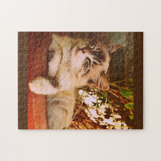 Niedlich Kitten Asleep Puzzle (Horizontal)