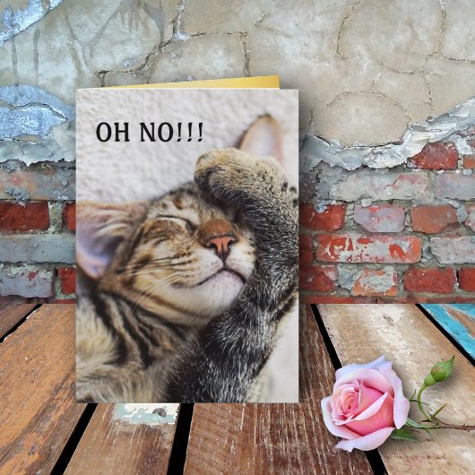 Niedlich Kitten Belated Birthday Card Karte