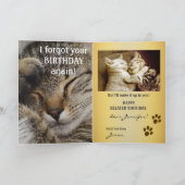 Niedlich Kitten Belated Birthday Card Karte (Innenseite)