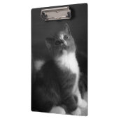 Niedlich Kitten Black and White Portrait Foto Klemmbrett (Links)