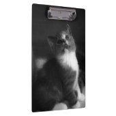 Niedlich Kitten Black and White Portrait Foto Klemmbrett (Rechts)