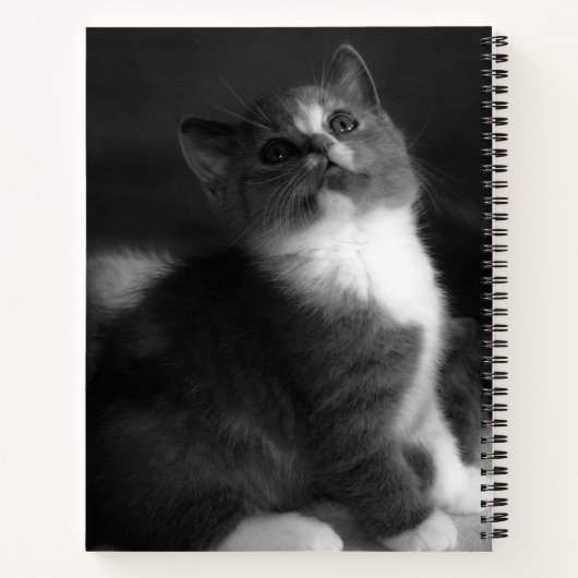 Niedlich Kitten Black and White Portrait Foto Notizblock (Rückseite)