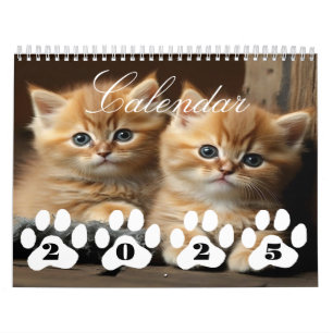 Niedlich Kitten Calendar 2025 Perfect Cat Lovers G Kalender