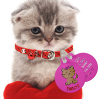 Niedlich Kitten Cartoon Bright Pink Kawaii Girl Ca