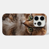 Niedlich Kitten Case-Mate iPhone Hülle (Rückseite (Horizontal))