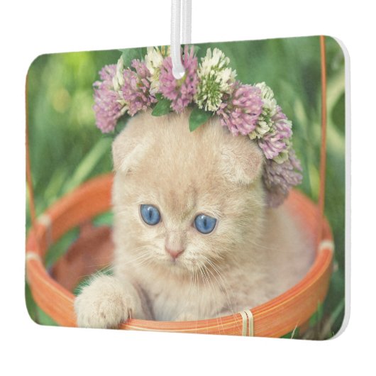 Niedlich Kitten Cat Lover Autolufterfrischer (Links)