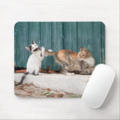 Niedlich Kitten Chasing Mama Schwanz Funny Cat Fot Mousepad (Mit Mouse)