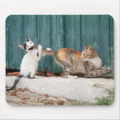 Niedlich Kitten Chasing Mama Schwanz Funny Cat Fot Mousepad (Vorne)