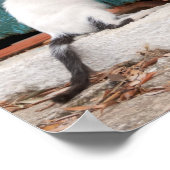 Niedlich Kitten Chasing Mama Schwanz Funny Cat Fot Poster (Ecke)