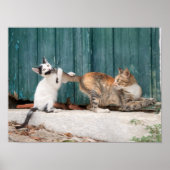 Niedlich Kitten Chasing Mama Schwanz Funny Cat Fot Poster (Vorne)