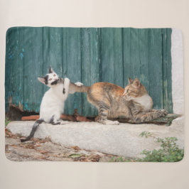 Niedlich Kitten Chasing Mama Schwanz Funny Cat Fot Sherpadecke