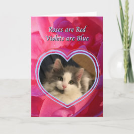 Niedlich Kitten Die Katze ist mein Lieblingswal Karte