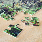 Niedlich Kitten Foto Puzzle (Seite)