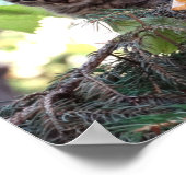 Niedlich Kitten Foto Value Poster Paper (Matte) (Ecke)