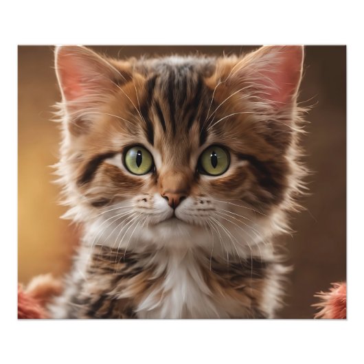 Niedlich Kitten Fotodruck (Vorne)