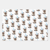Niedlich Kitten Geburtstag Geschenkpapier Set (Vorderseite)