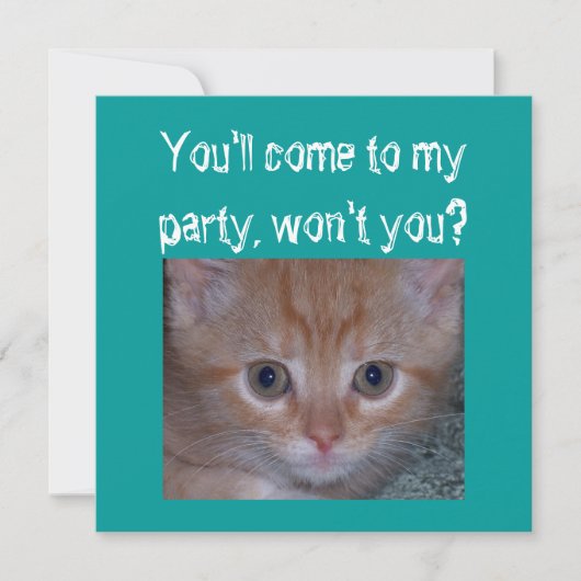 Niedlich Kitten - Geburtstagsparty des Kindes Einladung (Vorderseite)