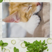 Niedlich Kitten Handtuch (Gefaltet)