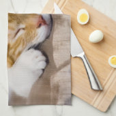 Niedlich Kitten Handtuch (Viertel Falte)