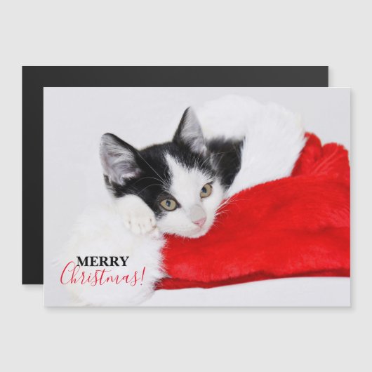 Niedlich Kitten in Weihnachtsmannmütze Magnetkarte (Vorne/Hinten)