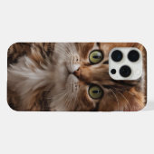 Niedlich Kitten iPhone Hülle (Rückseite (Horizontal))
