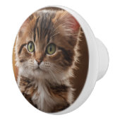 Niedlich Kitten Keramikknauf (Rechts)
