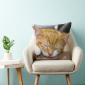 Niedlich Kitten Kissen (Stuhl )