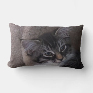 Niedlich Kitten Kissen