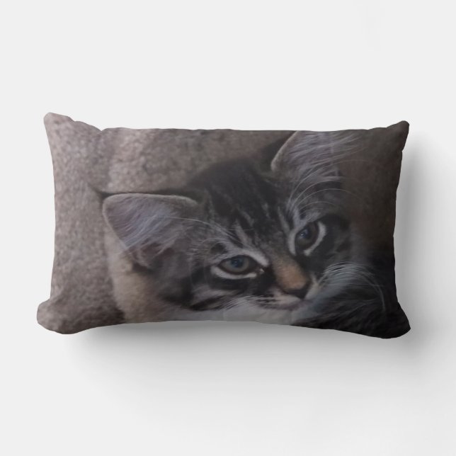 Niedlich Kitten Kissen (Vorderseite)