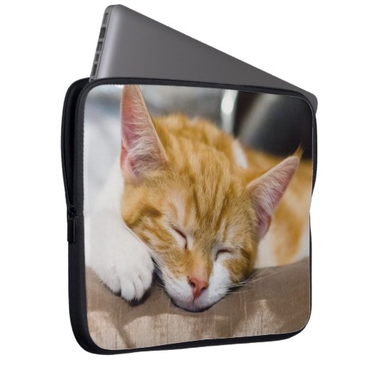 Niedlich Kitten Laptopschutzhülle (Vorne Rechts)