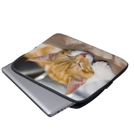 Niedlich Kitten Laptopschutzhülle (Vorne Knopf)