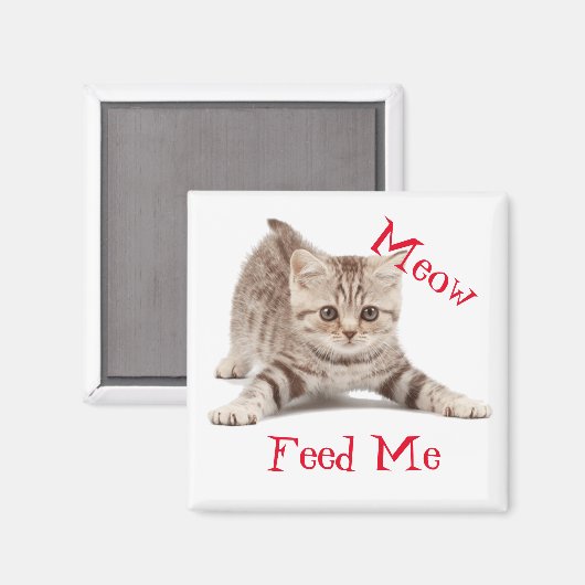 Niedlich Kitten Magnet (Vorderseite/Rückseite)