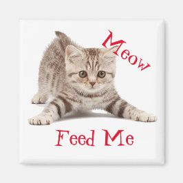 Niedlich Kitten Magnet