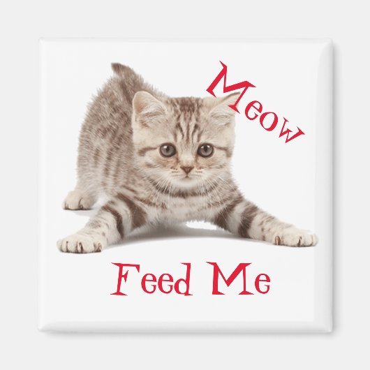 Niedlich Kitten Magnet (Vorne)